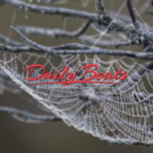 804 - The Web